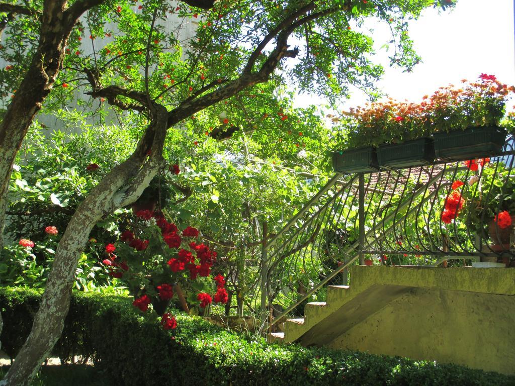 Apartments Kordic Kotor Dış mekan fotoğraf